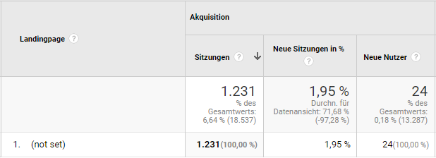 (not set) bei Landingpages